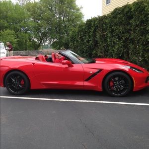 Meet your Posher, Louis